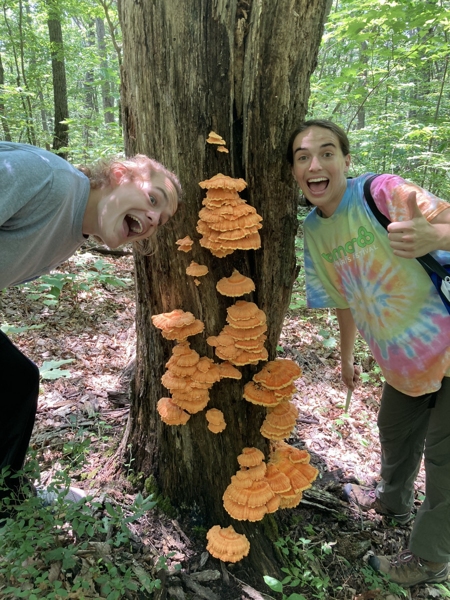 Two friends smile at the camera on either side of a tree covered in orange mushrooms.